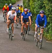 Roche indtager landevejen Roche indtager landevejen
